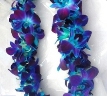 Load image into Gallery viewer, Graduation Lei
